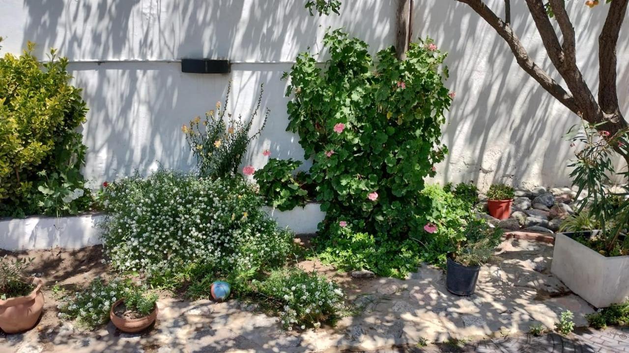 Mi Lugar *